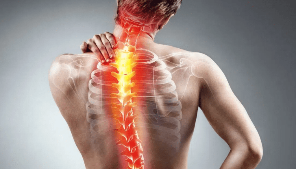 Back Pain: Stretches, Remedies, and When to See a Doctor