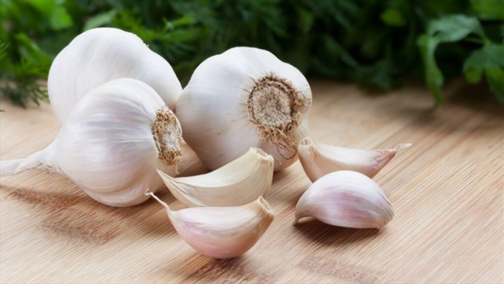 Garlic Health Benefits: Nutrition, Medicinal Uses, and Scientific Evidence