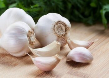 Garlic Health Benefits: Nutrition, Medicinal Uses, and Scientific Evidence
