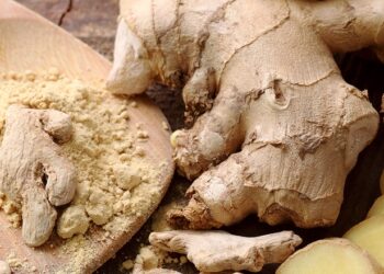 Ginger Health Benefits: Nutrition, Medicinal Uses, and Scientific Evidence